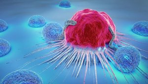 Türkiye'de 5 kişiden 1'i...