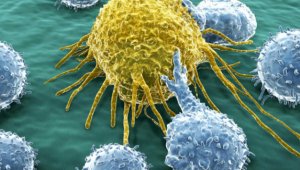 Türkiye'de yılda 185 bin kişi kanser oluyor