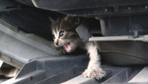 Arabanızı çalıştırmadan önce...