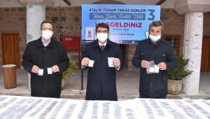 Atalık tohuma ilgi arttı