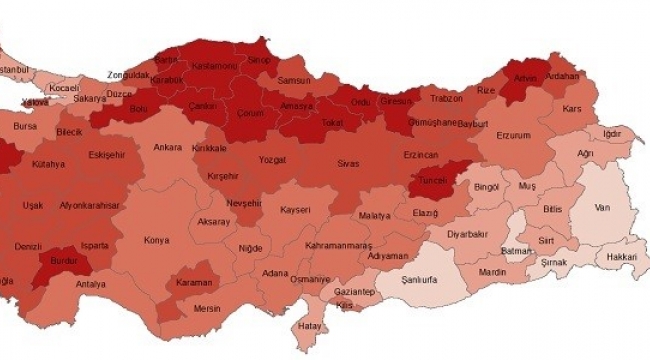 İşte Erzurum'un yaşlı nüfusu...