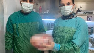 Karın ağrısı şikayeti ile hastaneye gitti, karnından...