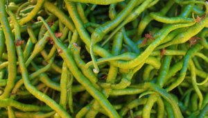 Pazarın şampiyonu kıl biber: Kilosu 30 TL