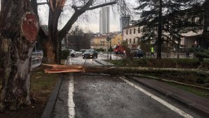 Türkiye Büyük Millet Meclisi bahçesine yıldırım düştü. Bir ağaç yıldırım düşmesi sonucu yarıldı.