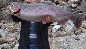 Türkiye ve Avrupa'nın en büyük alabalığı...