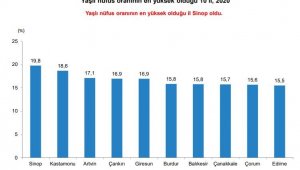 Türkiye'de yaşlı nüfus 10 yılda yüzde 49,3 arttı