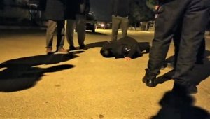 Yeraltından gelen ürkütücü sesler meğer...