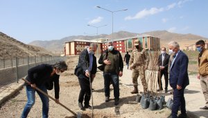 Akademisyenler fidan alıp okul bahçesine diktiler