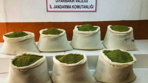 Bakan Soylu duyurdu: "Lice'de 221 kilogram esrar ele geçirildi"