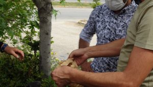 Çalınan telefonunu 'telefonumu bul' uygulamasından dakikalar içerisinde buldu