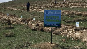 Hayırseverler adına fidan dikimi etkinliği yaptılar