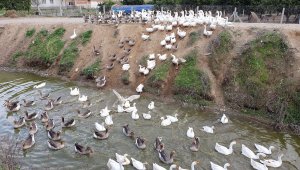 İnat etti başardı, tüm Türkiye'ye gönderiyor