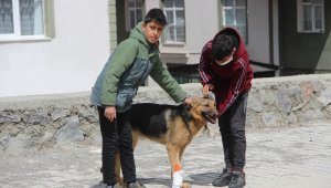 İşkence edilen köpeğe çocuklar sahip çıktı