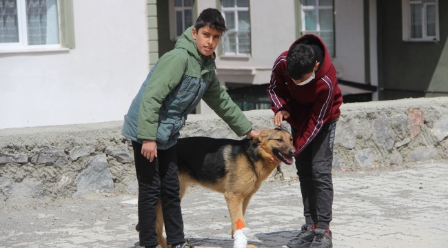 İşkence edilen köpeğe çocuklar sahip çıktı