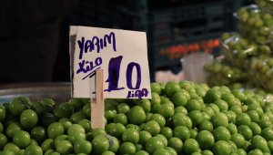 Kilosu 20 TL'den satılan erik vatandaşı memnun etti