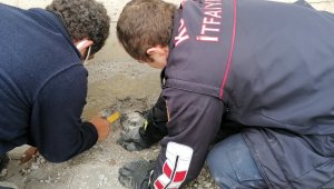 Sıkışan kaplumbağayı kurtarabilmek için 1 saate yakın uğraştılar