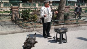 Sokak müzisyenin yanından bir an olsun ayrılmayan köpek