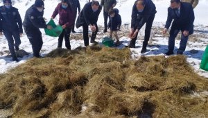 Yaban hayvanları için yemleme çalışması sürüyor
