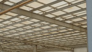 Acil servisi arılar bastı