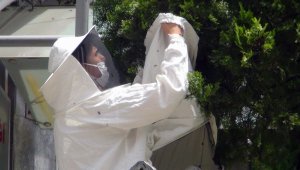 Arılar yolunu şaşırdı