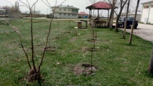 Bahçe bizden bakması sizden