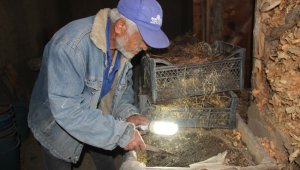 Bin taneden 100 milyon üretti, gübresini ücretsiz dağıtıyor