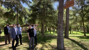Çorum'da parktaki ağaçlara Yunus Emre'nin sözleri asıldı