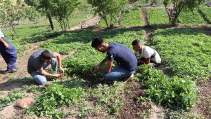 Devlet destek verdi, Türkiye'nin farklı illerinden sipariş yağmaya başladı