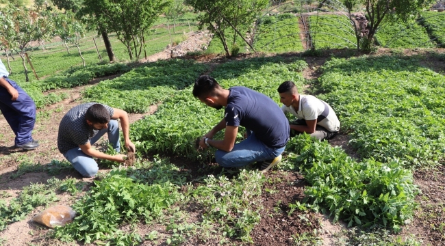 Devlet destek verdi, Türkiye'nin farklı illerinden sipariş yağmaya başladı