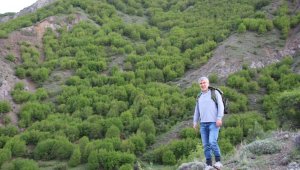 Dr. Ekinci Fizyo terapi için şifalı bitkiler topluyor