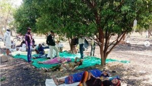 Hindistan'da Covid-19 hastaları portakal bahçelerinde tedavi görüyor