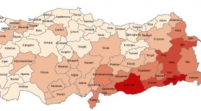 İşte Türkiye'nin doğurganlık oranı ve kaba doğum hızı; Erzurum 15.8'de...