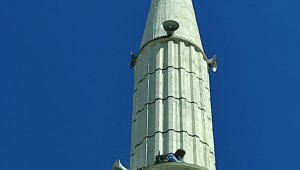 Minarede mahsur kalan kedi kurtarıldı