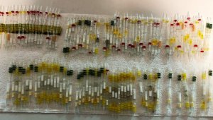 Sarp Sınır Kapısı'nda toplam 230 tüp arı ve kobra yılanı zehri ele geçirildi