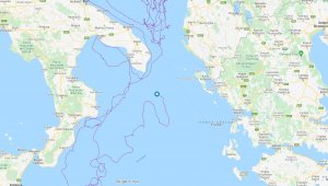 Uydudan izlenen caretta caretta iki yılda 10 bin kilometre yol aldı