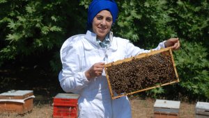 Arıların 'Çiçek'i