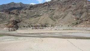 Ayvalı Ayvayı Yedi...