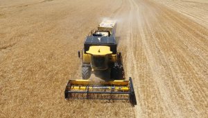 DAP'tan, 2021 yılında, 211 projeye 84 milyon lira destek