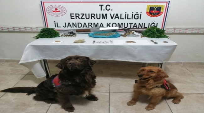 Erzurum'da hayvan hırsızlığı ve uyuşturucu operasyonu: 6 tutuklu