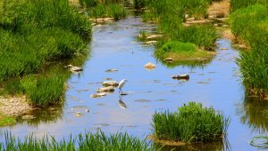 Her yer kuruyor, bu gölün su seviyesi artıyor