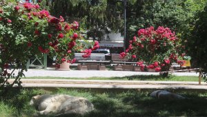 Türkiye son 50 yılın en sıcak mevsimini yaşıyor