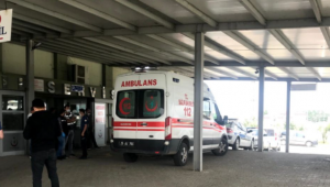 Ağabeyini bıçaklayarak öldürdü