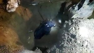 BU TOSUN da, kepçe yardımıyla kurtarıldı