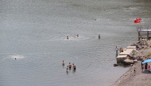 Çıldır Gölü cıvıl cıvıl