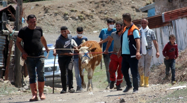 Erzurum'da kaçan kurbanlıklar ortalığı birbirine kattı