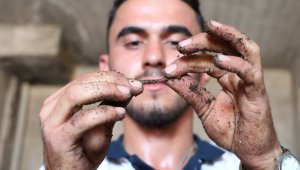 İnternette gördü: 1 milyon solucanla aylık 1 ton gübre üretiyor