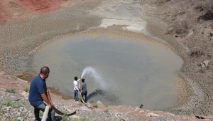 Kuraklık hat safhaya ulaştı, 10 bin balık için köy halkı seferber oldu