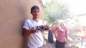 Kurbanlar kesildi ilk etler pişmeye başladı