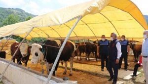 Kurbanlık alacaklara uyarılar