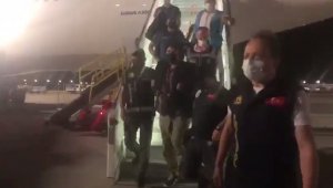 Tosuncuk, dönüş biletini bile bedavaya getirdi